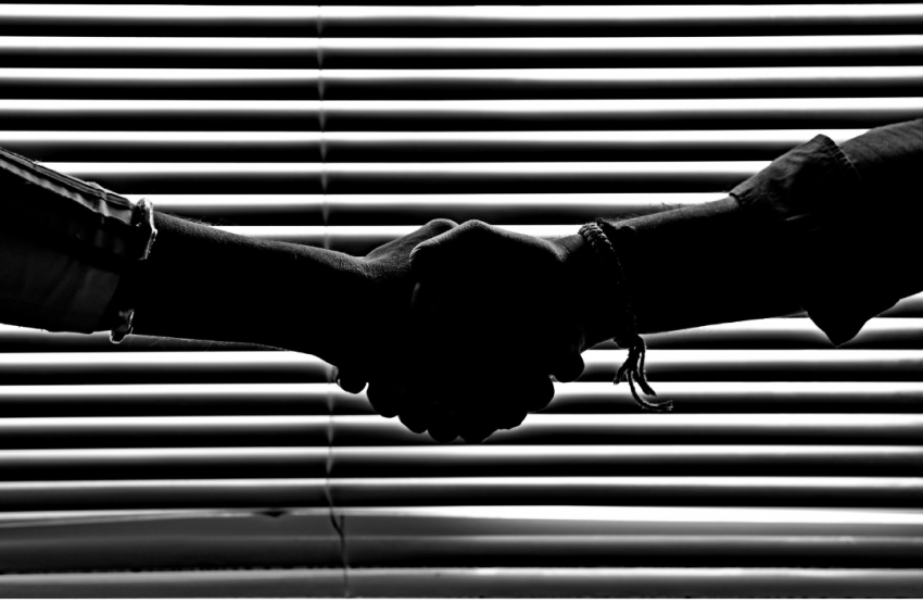 Éxito en la Peak Season con Amphora