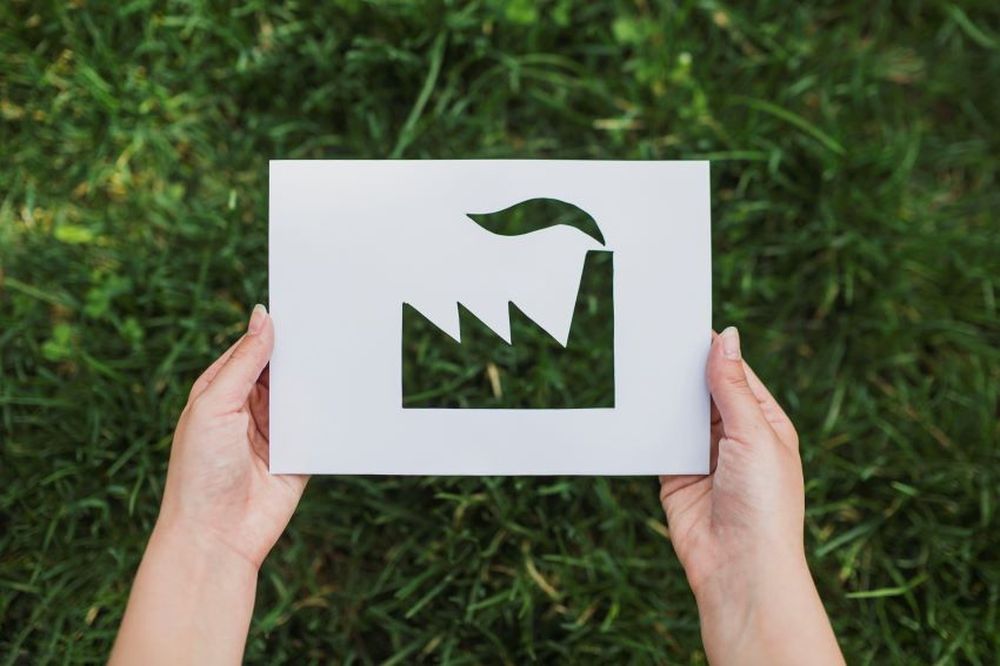 Ideas para lograr una empresa de e-commerce sostenible